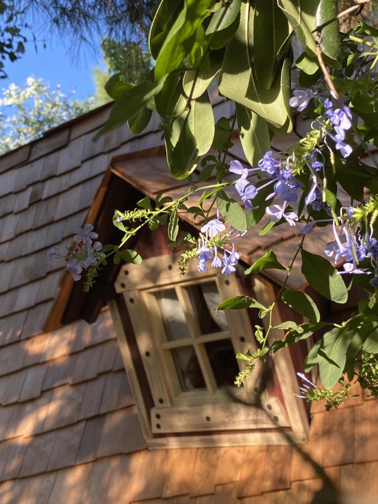 Mas Del Flor Bed & Breakfast Villelongue-dels-Monts Room photo